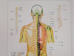 -张钰强中医正骨推拿连锁(华发商都店)