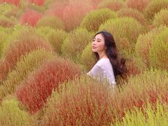 -映月湖中央公园