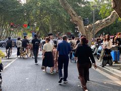 -南京维景国际大酒店(南京博物院店)