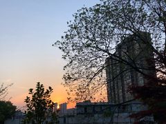 -杭州城北体育公园