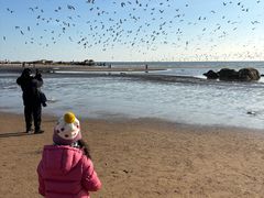 -老虎石海上公园