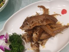 -金米箩大酒店(五角场店)