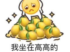 -王浩儿纪六孃甜皮鸭(乐山总店)
