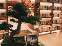 -二酉书店TOYOU BOOKS