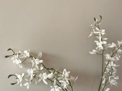 -PANDA QUEEN熊猫女王(成都店)