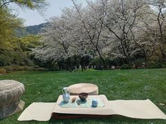 -中国茶叶博物馆(双峰馆区)