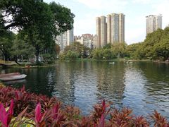 -晓港公园
