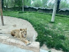 -北京野生动物园