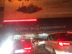 -上海浦东国际机场T1航站楼-P1停车场