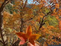 -北京上方山国家森林公园