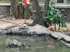 -卡塞拉自然公园