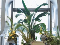 -宁波之星奔驰4S店(海曙店)