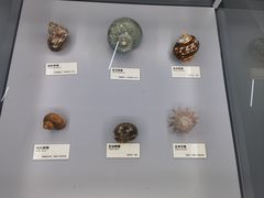 -天津古林古海岸遗迹博物馆