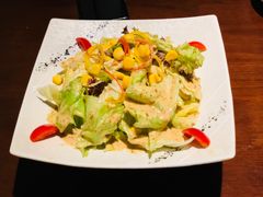 有机蔬菜沙拉-熊藏居酒屋(kkone店)