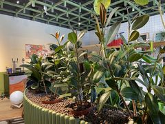 -Catch Bagel(芳草地店)