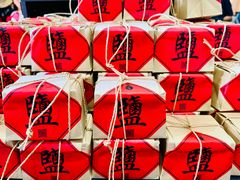 -燊海井