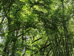 -兰亭风景区