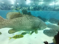 -苏州海洋馆