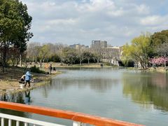 -新江湾城公园