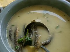 泥鳅薄荷汤-生态苑农庄(十里画廊遇龙河店)