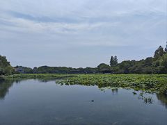 -家烧面馆【南山路知名经典面食】