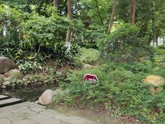 -成都市活水公园