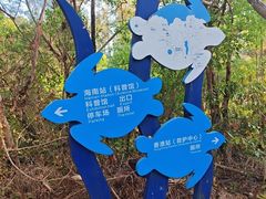 -广东惠东海龟国家级自然保护区