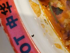 -文立新麻辣烫(合生汇21街区店)