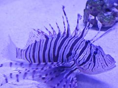 -多彩贵州城极地海洋世界