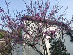 -乌山风景区