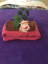 -悦芳庭美肤美体品牌集合店