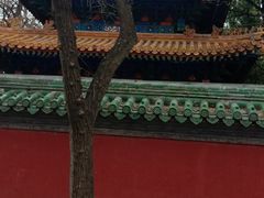 -北京国子监胡同