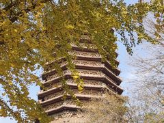-玲珑塔公园