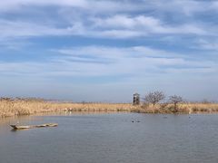-盐城丹顶鹤湿地生态旅游区