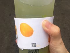 -树夏(建设路店)