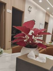 -东莞台心医院-医疗美容