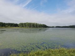 -塞罕坝国家级自然保护区