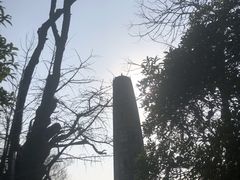 -上海佘山国家森林公园天马山园