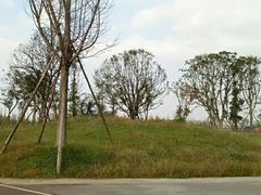 -白鹭湾湿地公园