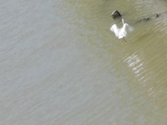 -中国湿地博物馆