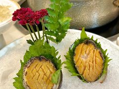 -喜聚薈·花膠雞海鮮火鍋(越秀店)