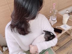 -椿风·养身茶饮(吉大店)