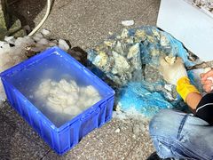-濠轩阁特色生蚝火锅总店