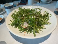 -凤凰湘语(浦东旗舰店)