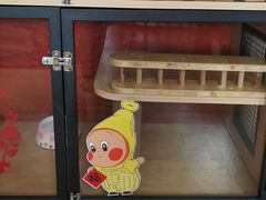 -御宝贝·A梦猫科宠物医院(国际猫友好医院)