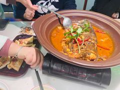 -蜀香格格•剁椒鱼头(龙西店)