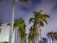 -尖沙咀