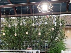 -阿鹏故事云南野生菌火锅(人民路店)
