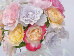 -循礼门鲜花花市(武汉循礼门店)