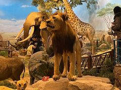 -陕西自然博物馆